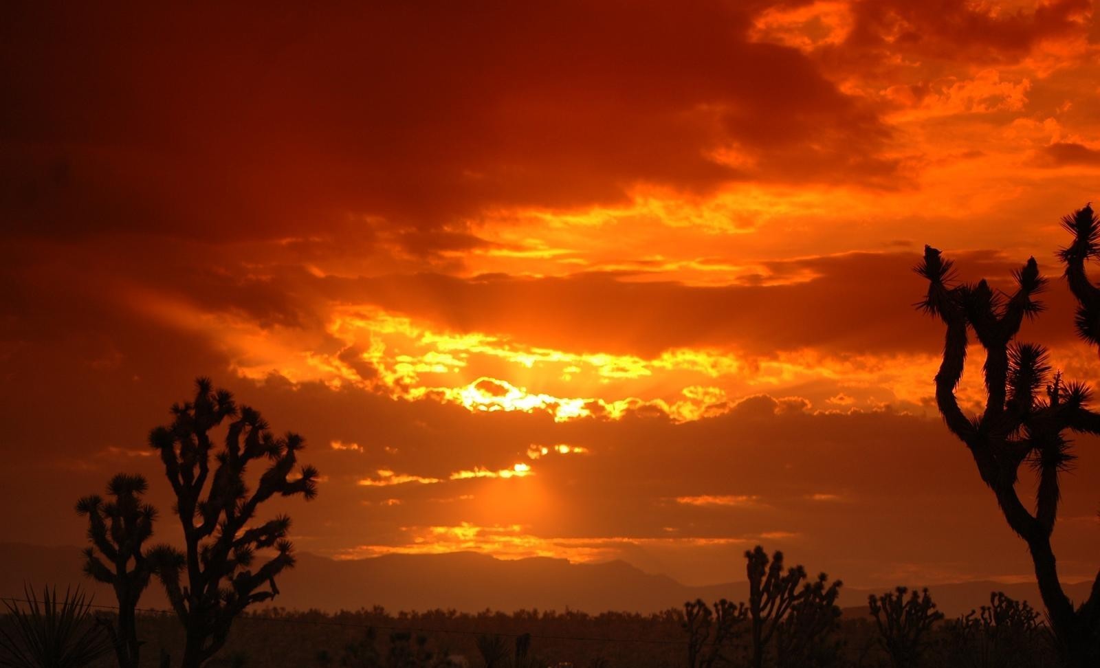 Buy Raw Land Change Real Estate